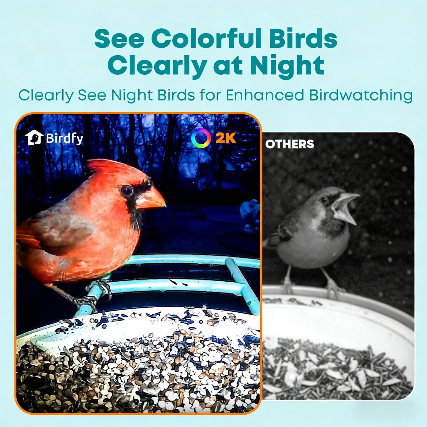 NETVUE by Birdfy Smart Bird Feeder with 2K HD AI Camera Solar Powered, Wireless Wildbird Watching, Live Stream&Color Night Vision, Auto-Capture & Notify, Free Cloud Storage(AI by Subscription)