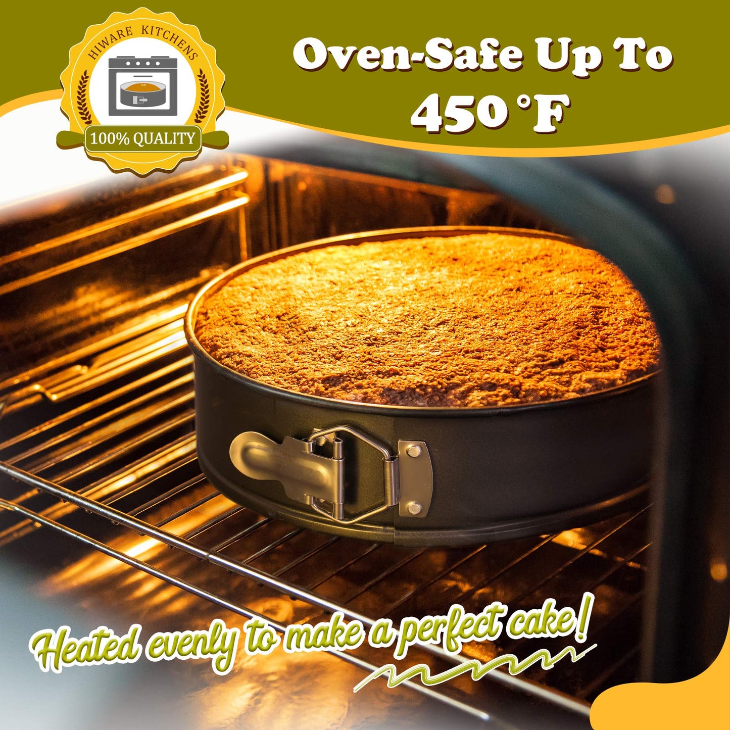 Hiware 10 Inch Non-stick Springform Pan with Removable Bottom/Leakproof Cheesecake Pan