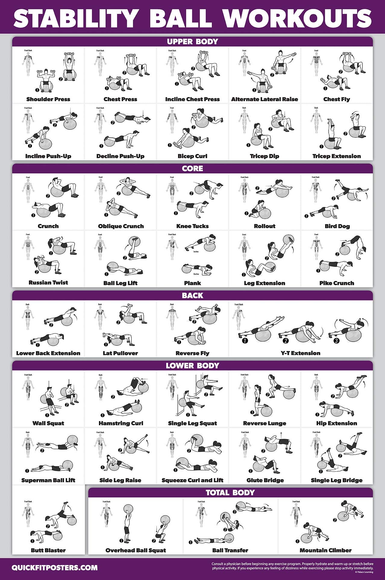 Palace Learning 2 Pack, Half Balance Ball Workout Poster + Yoga Ball Exercise Chart - Set of 2 Workout Posters (LAMINATED, 18" x 24"")"
