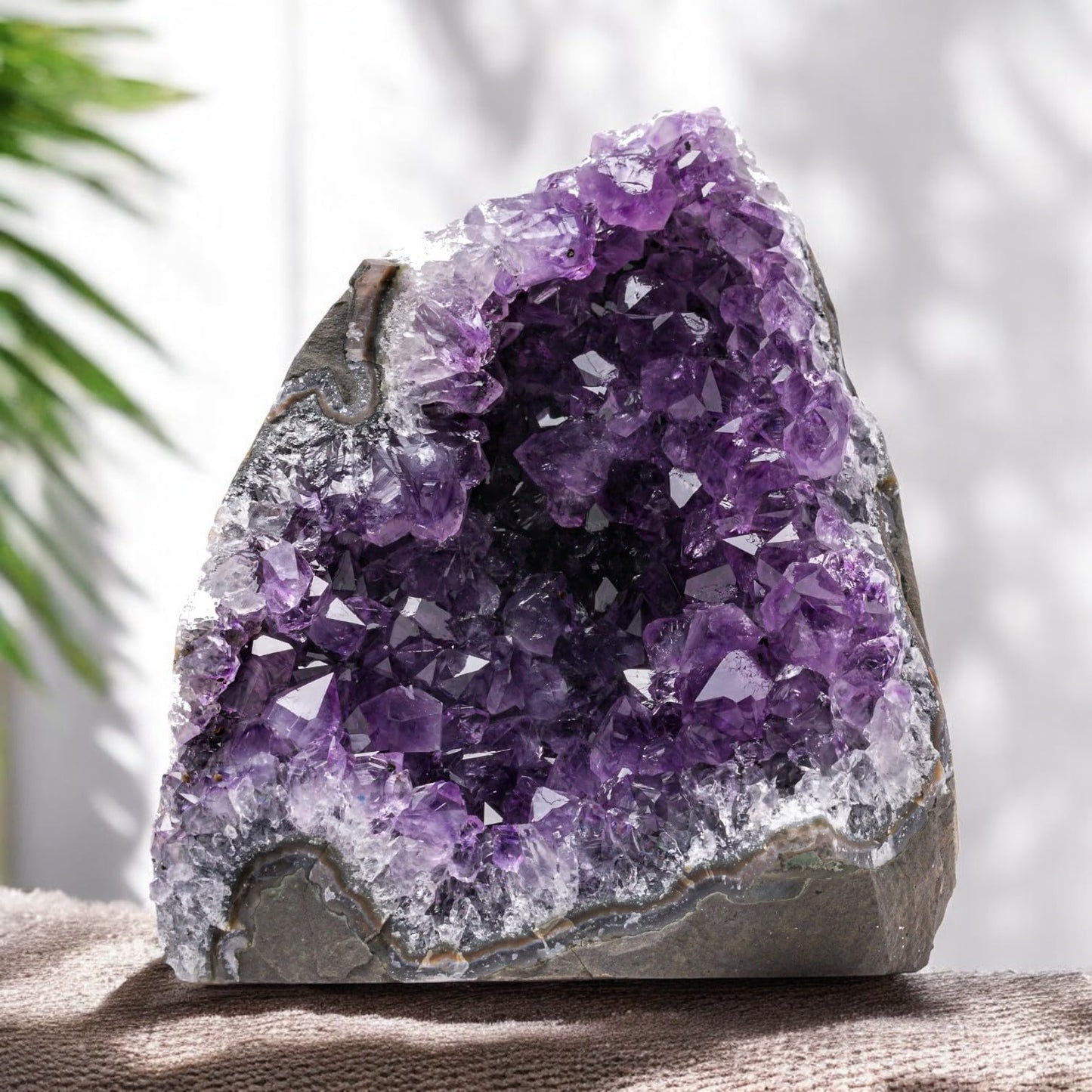 EMPORION Natural Amethyst (2 lb to 3 lb) - 4" to 7" Height - Crystal Clusters Stone from Uruguay Raw Geode Quartz - Deep Purple Color