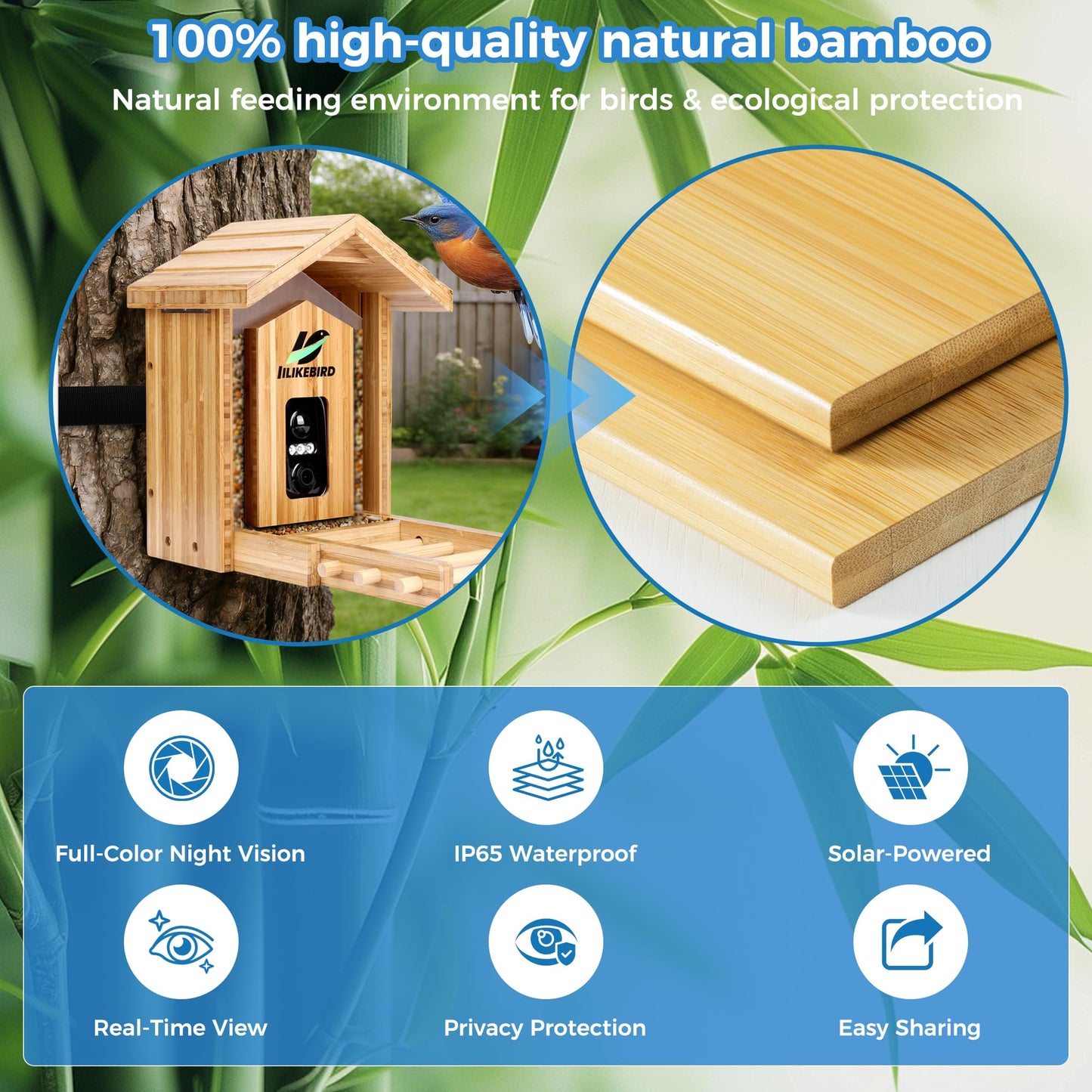 IILIKEBIRD Smart Bird Feeder with 4K Camera, 10000+ AI Bird Identification, Solar & USB-C Charging, IP65 Weatherproof, Wall/Pole Mount Small Bird Feeder for Outdoor Gardenf