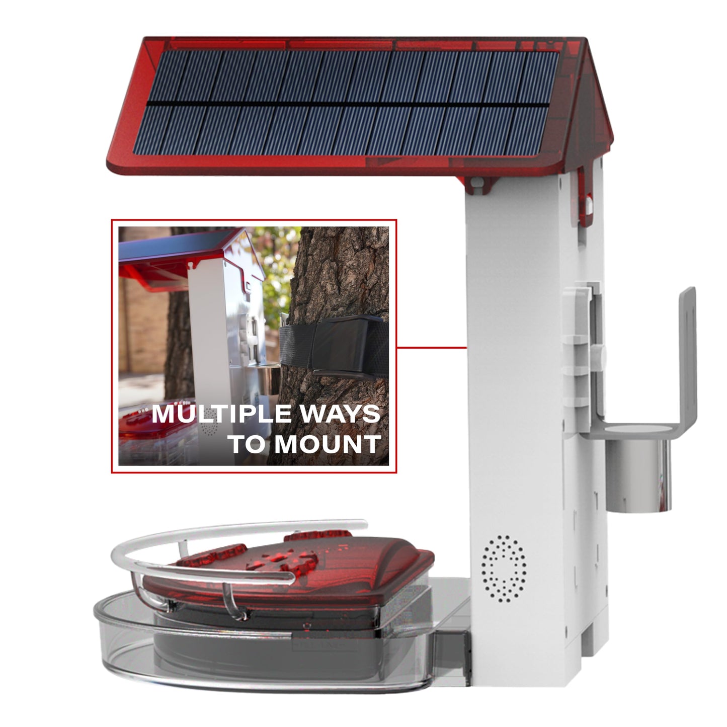 Quick Setup Smart Solar Hummingbird Feeder with Camera 1080P 2MP High-Def and WiFi AI Bird Identification Birdfeeder, Ant Guard Moat, Squirrel Alarm, Removeable Tray, Identifies 10,000+ Birds