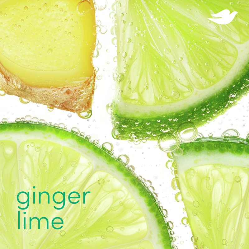 Dove Deodorant Stick Ginger Lime for 72 Hour Odor Protection Aluminum Free 2.4 oz