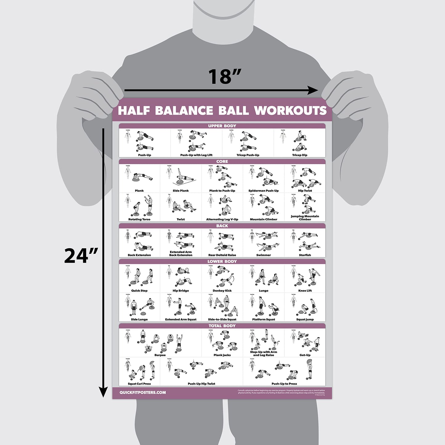 Palace Learning 2 Pack, Half Balance Ball Workout Poster + Yoga Ball Exercise Chart - Set of 2 Workout Posters (LAMINATED, 18" x 24"")"