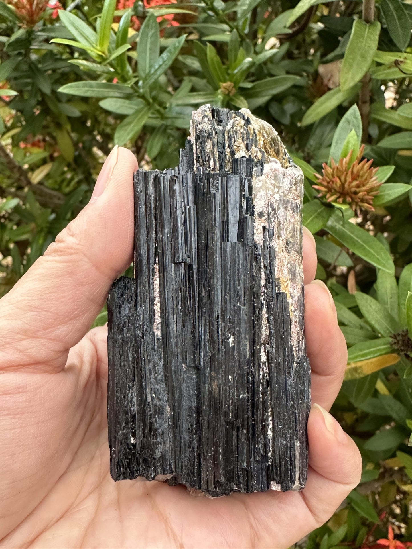 GAF TREASURES XL Raw Black Tourmaline, Black Tourmaline Rough, Healing Rough Crystal (Black Tourmaline, 0.5-1 lb)