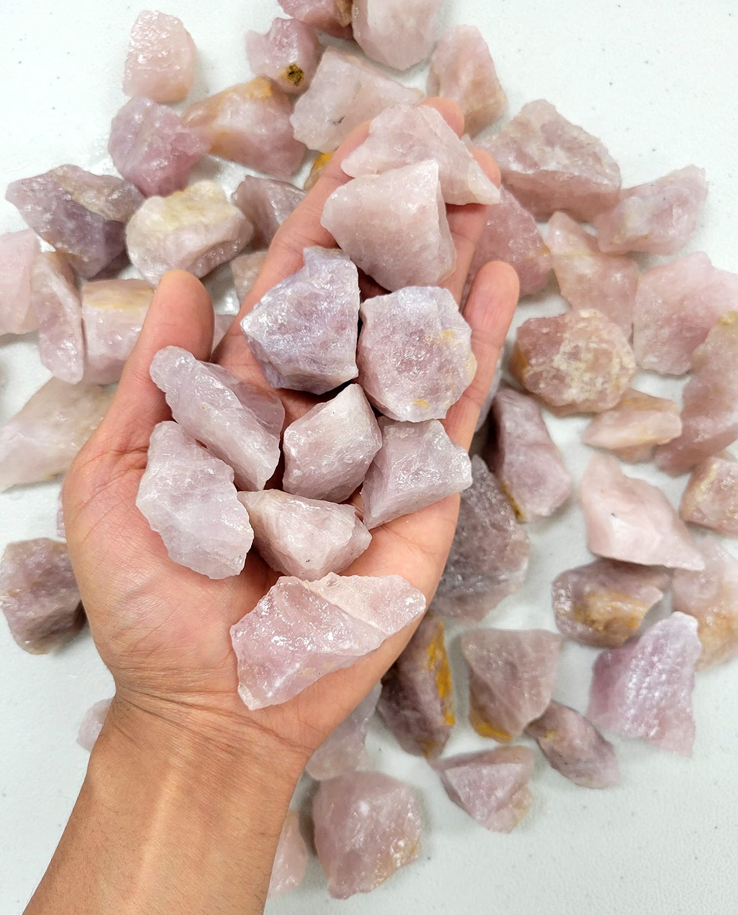 MINERALUNIVERSE 1/2 LB Lavender Rose Quartz Rough Stones - Bulk Crystal Raw Natural & Crystals Fountain Rocks for Tumbling, Polishing, Wire Wrapping, Reiki, Chakra Healing
