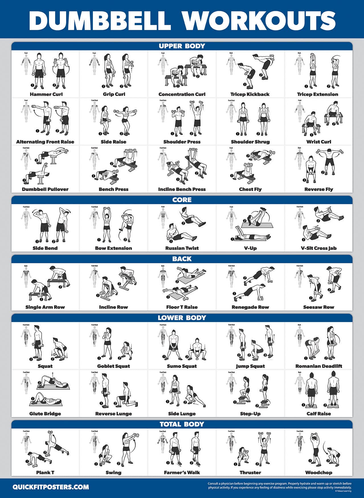 4 Pack - Cable Machine Workout Posters Volume 1 & 2 + Dumbbell Exercises + Barbell Exercises (LAMINATED, 18" x 24"")"