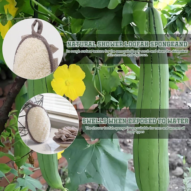 2 Pack Natural Loofah Exfoliating Body Scrubber, 2 en 1 Bath Shower Pouf Sponge for Women and Men, for Face and Body That Gets You Clean (Grey)