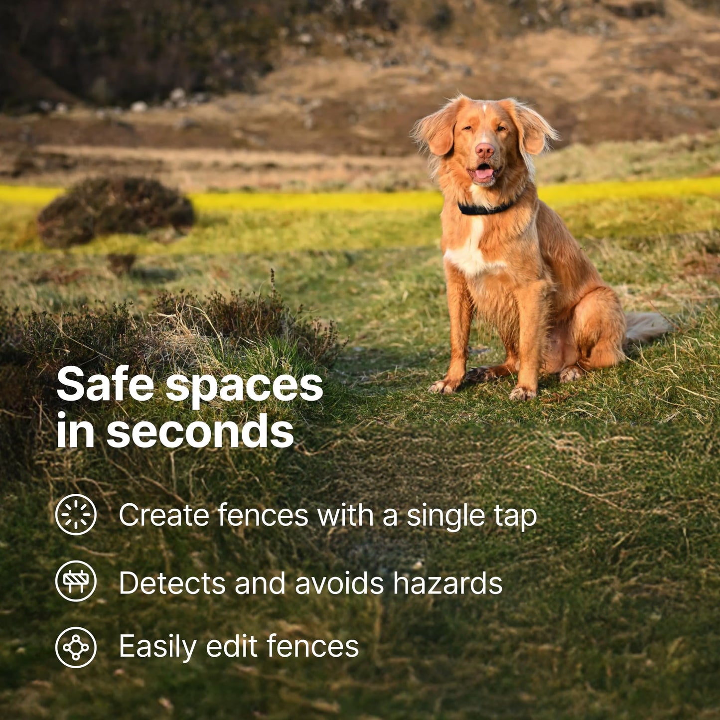 Halo Collar 5 Wireless Dog Fence & GPS Dog Collar, Keep Your Dog Safely Contained Outdoors with App-Controlled Boundaries and Real-Time Tracking, One Size, Midnight