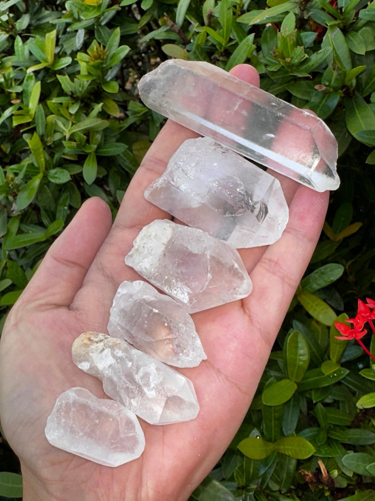 GAF TREASURES Wholesale Raw Clear Quartz Points, Natural Clear Quartz Points, Clear Quartz Points Healing Crystals (1 Pound)
