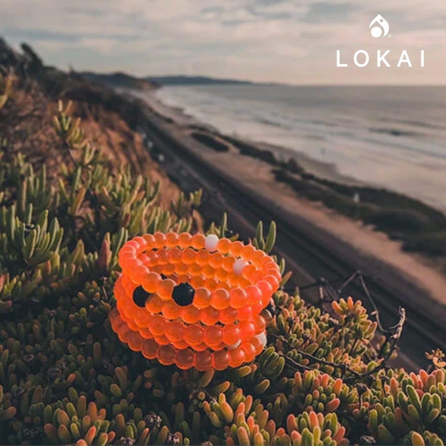 Lokai Silicone Beaded Bracelet for Mental Health Awareness - Small, 6 Inch Circumference - Jewelry Fashion Bracelet Slides-On for Comfortable Fit for Men & Women