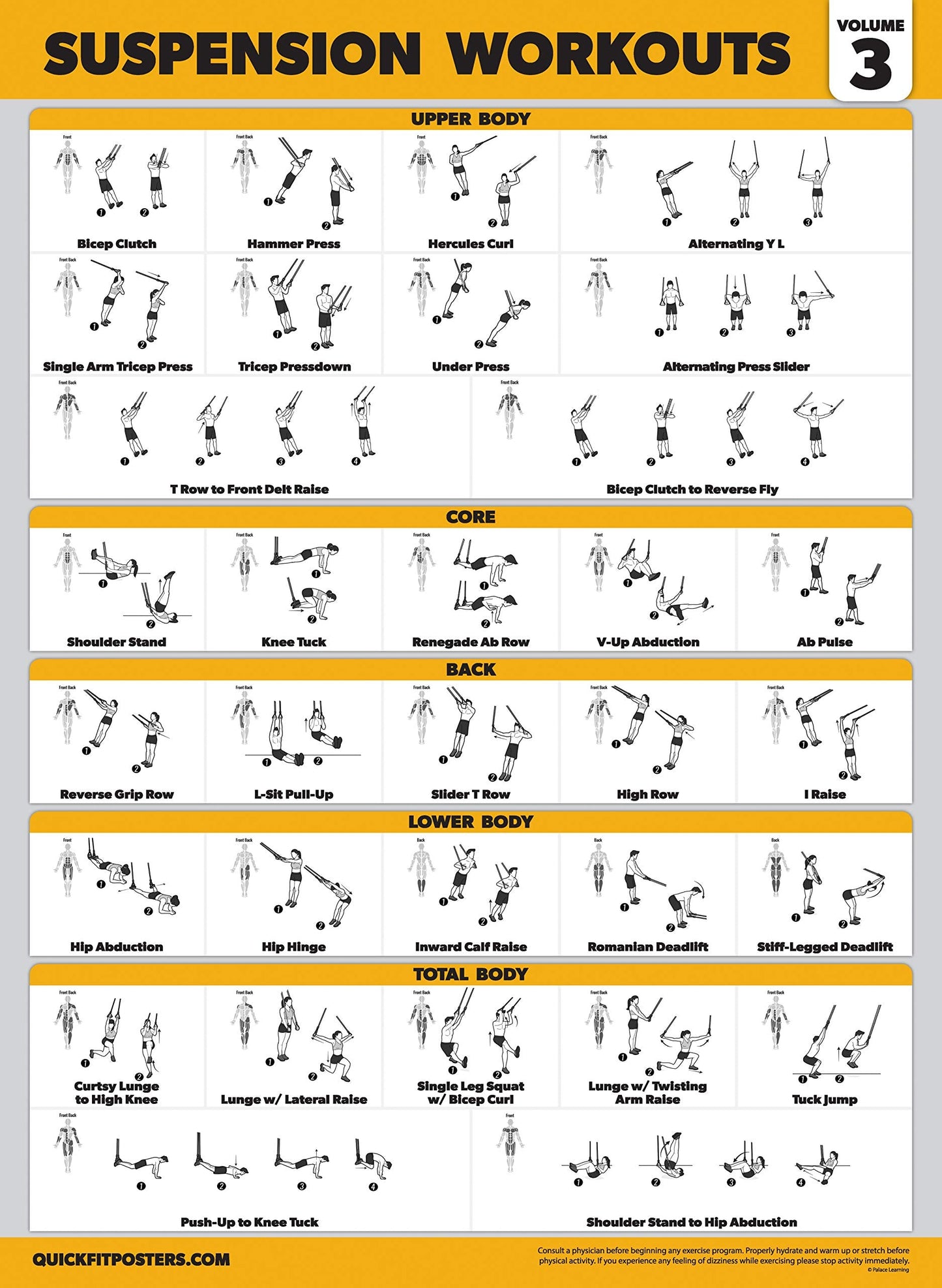 Palace Learning 3 Pack Suspension Workout Posters - Volume 1, 2 & 3 - Exercise Charts (LAMINATED, 18" x 24"")"