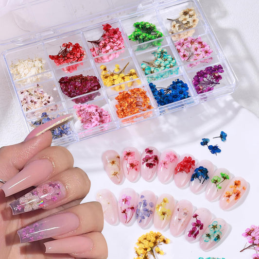 Pressed 3D Dried Flowers for Nail Art 15 Colors Real Natural Flowers Nail Stickers Mixed Small Dry Floral Nail Charms Decoration for Acrylic Nails, Resin Crafts, DIY Design for Salon & Home