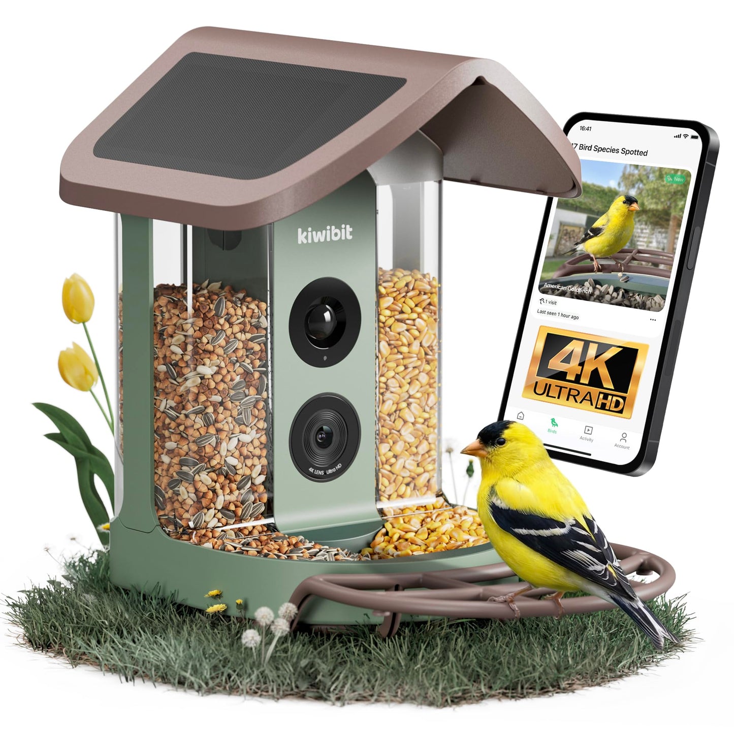Beako™ Smart Bird Feeder with 4K Camera - Lifetime AI Bird Species Identification, No Subscription Required, 8MP Live Stream & Photos, Auto Capture, Real-Time Notifications, Solar Powered for Outdoors