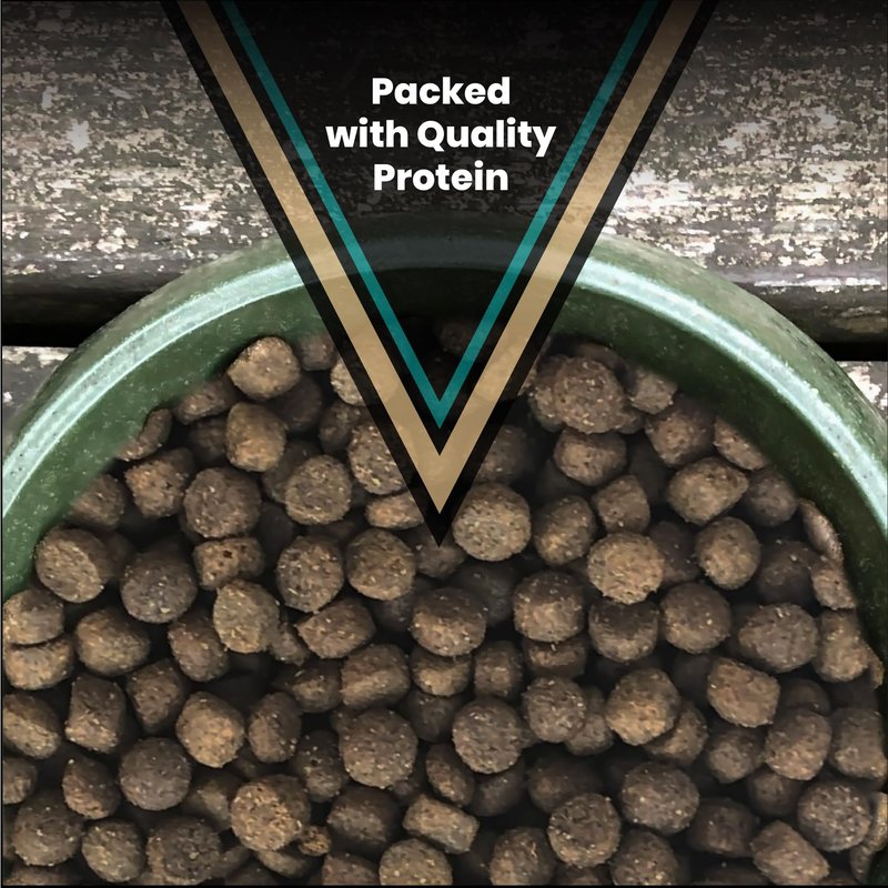 VICTOR Super Premium Dog Food – Hi-Pro Plus Dry Kibble – High Protein Dog Food with 30% Protein – Beef, Chicken, Pork, Fish Meals, Gluten Free - for High Energy and Active Dogs & Puppies, 30lbs