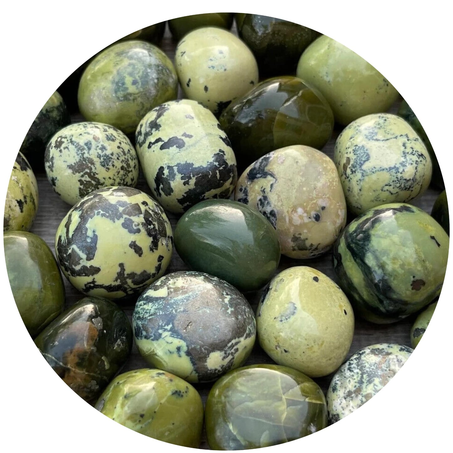 WHOLESALE Serpentine Tumbled Stones, Polished Serpentine Gemstone, Serpentine Polished Rocks (Serpentine, 0.25 Pound)