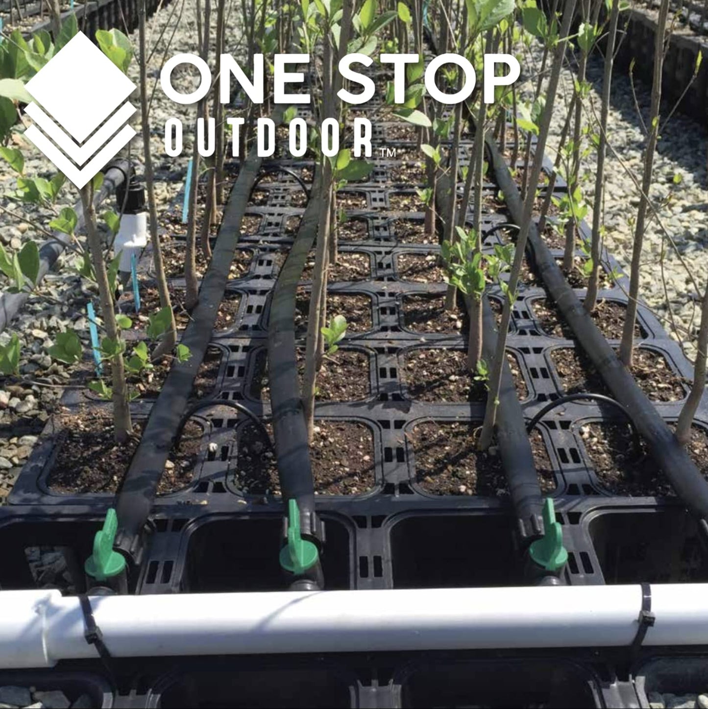 100-Pack 6" Inch Angled Drip Emitter Stake, (FITS 1/4" & 1/8" TUBING) for Precise Watering & Irrigation, Greenhouse, Container Gardening, Home Garden