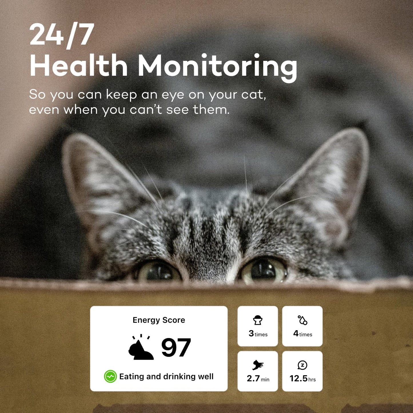 Catlog Health Tracker for Cats - Smart Cat Collar with Safety Breakaway Buckle for Indoor Cats, Wellness Alerts, Real-time Monitoring (Kimono (Ume),L)