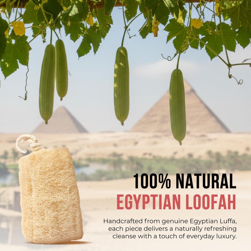 Natural Loofah Sponge – Egyptian Luffa Body Scrubber Pack of 4 for Men & Women, Natural Bath & Shower Loofah Exfoliator, All Natural Loofah Sponges for Face Back & Body, 6" x 6"