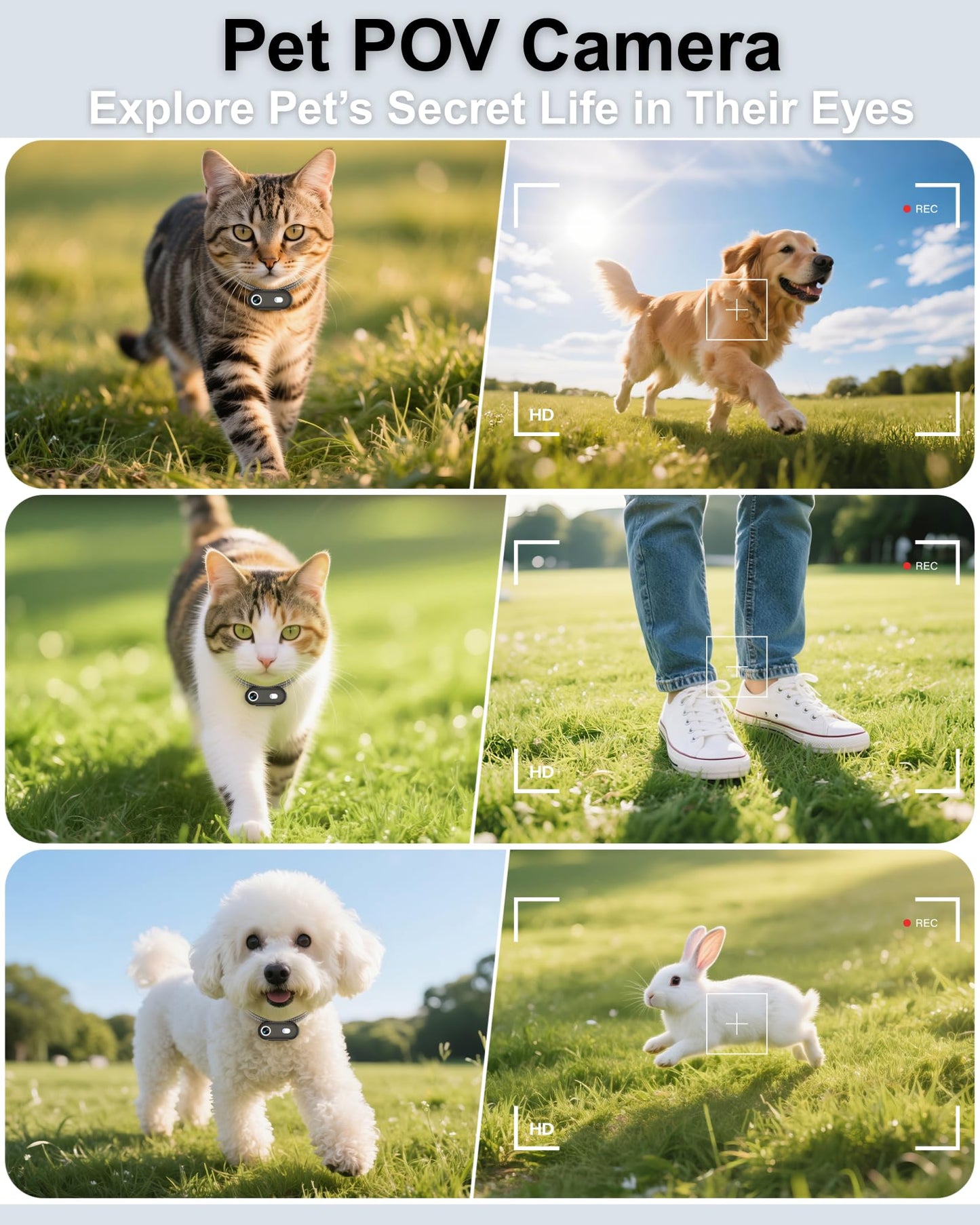 ZoomaraKam Cat & Dog Camera Collar with Phone APP, 1080P HD Video Recording Pet Camera Collar – Lightweight Pet POV Cam for Curious Cats & Adventurous Pups (XS-with Tracker)