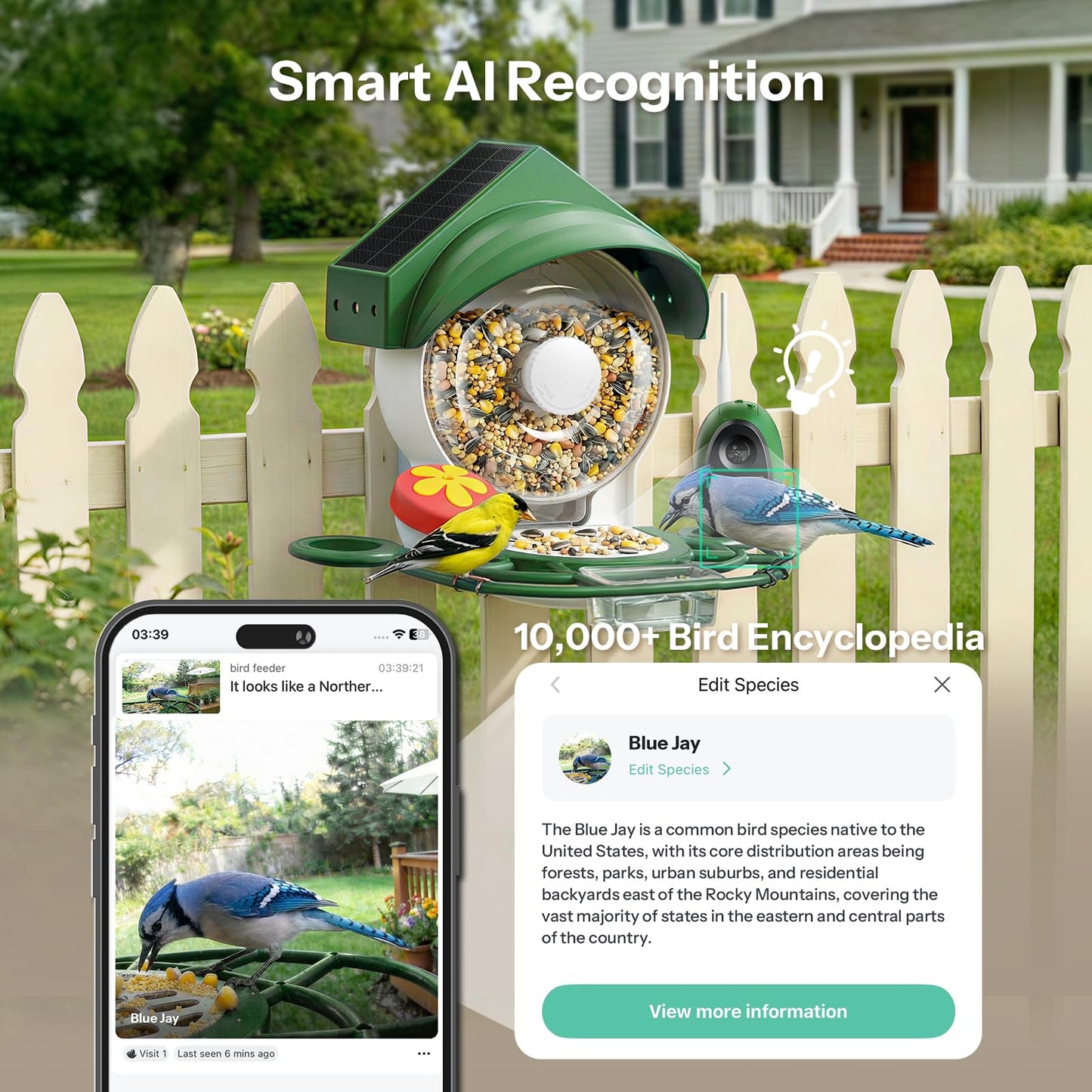 Liscuty Smart Bird Feeder with Camera - 2K HD Smart Bird Feeder, Solar Powered Outdoor Birdhouse with AI Bird Identification for Backyard Birding & Wildlife Bird Watching, Gift for BirdLover (Green)