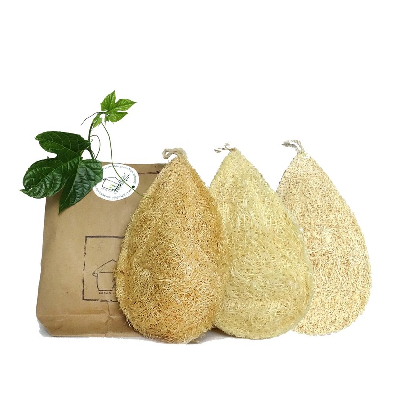 Miw Piw Natural Loofah Dish Sponge Pack 3 Vegetable Scrubber for Kitchen -100% Biodegradable Compostable Dishwashing Scouring Pad Zero Waste Plastic Free Eco Friendly Sustainable