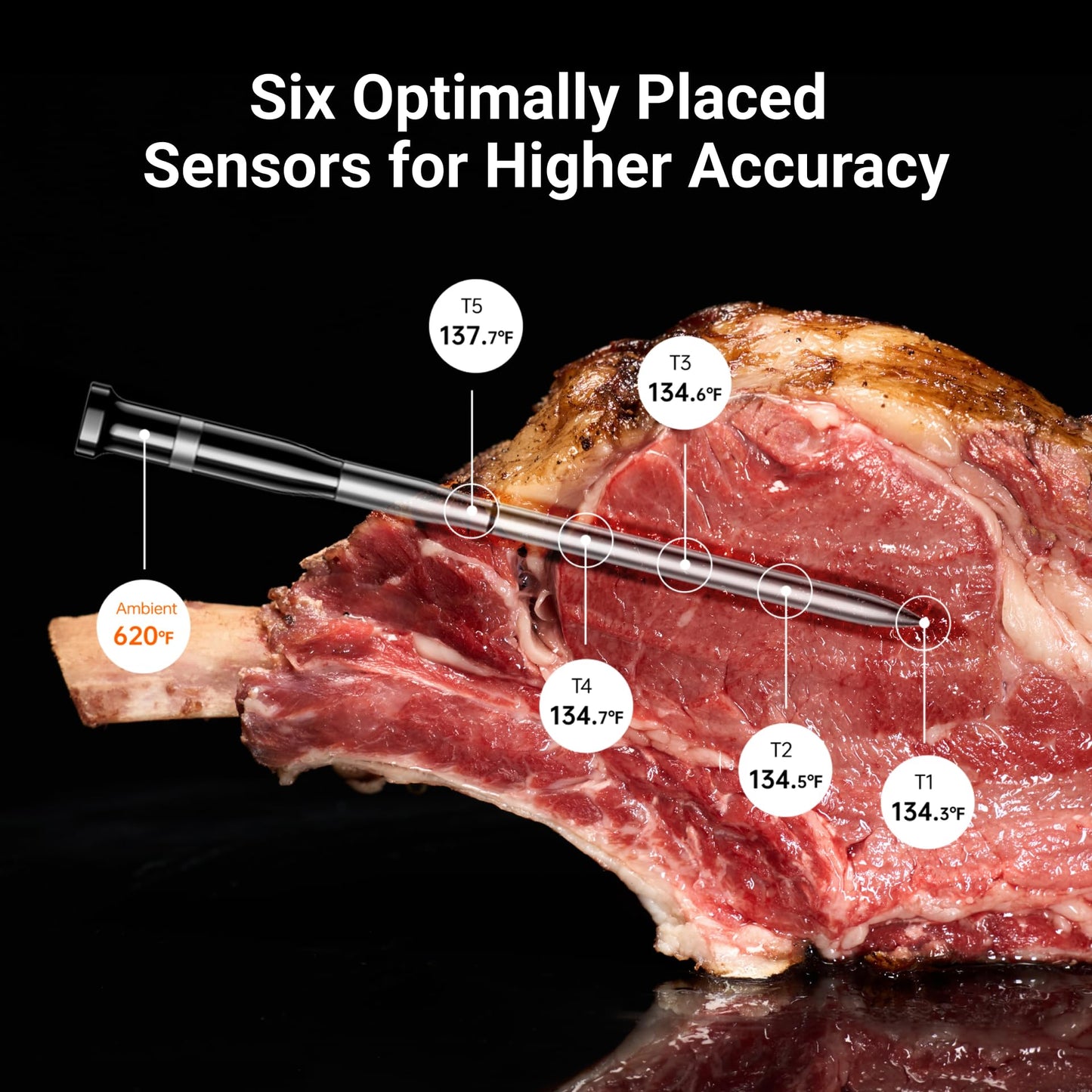 Get One PT03 Propane Torch with Your Purchase of A WT06 Thermometer