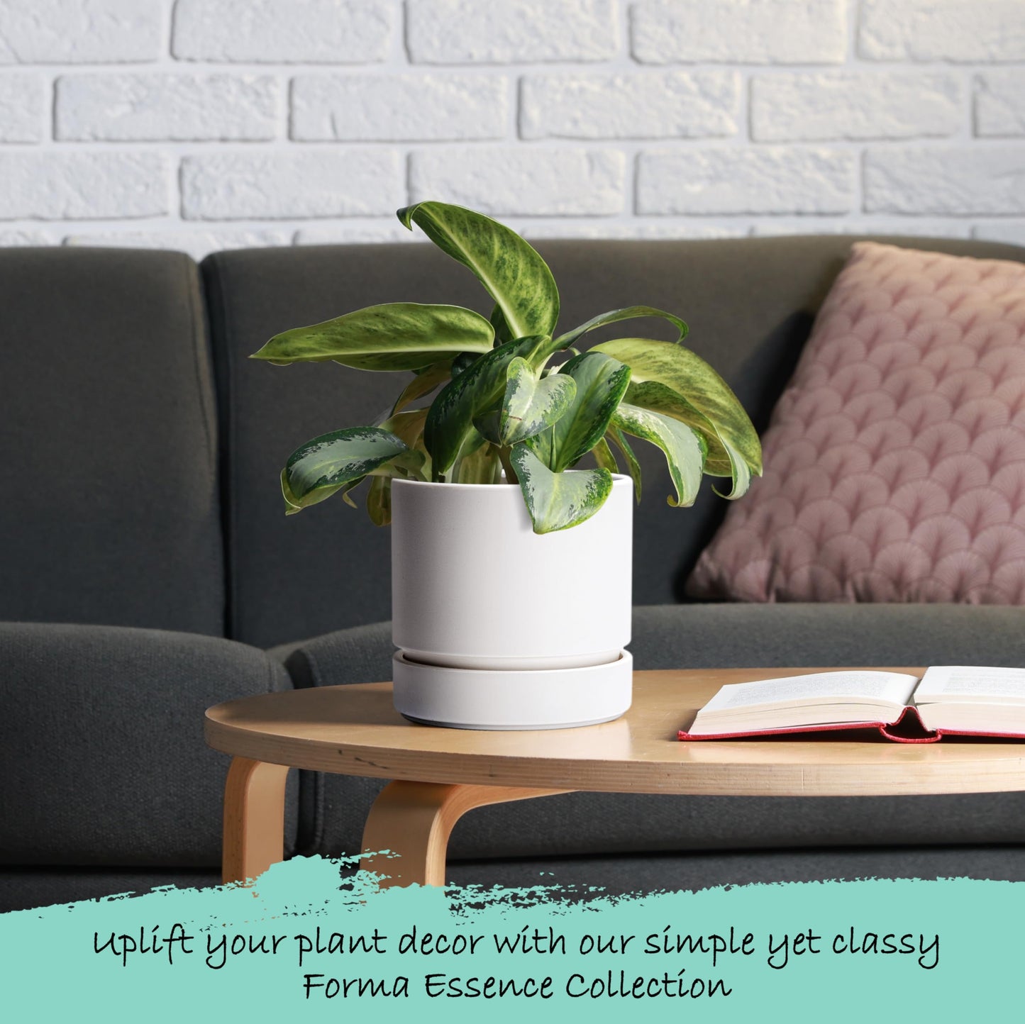 Phoenix Vine 6 Inch Planter Pot with Drainage Hole & Saucer, Deep Water Catch Tray, Straight Cylindrical Round Pot for Plants, Matte White, Pack of 1, 23-B-S-1