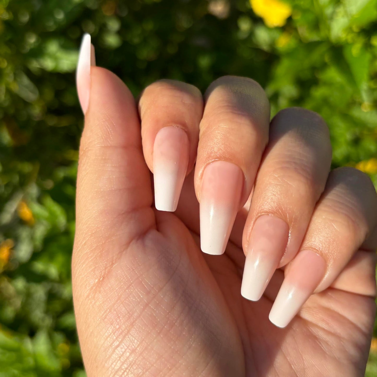 OMBRÉ FRENCH Press-On Nails by Lavaa Beauty | Long Coffin | Glossy French Ombré Coffin Nails