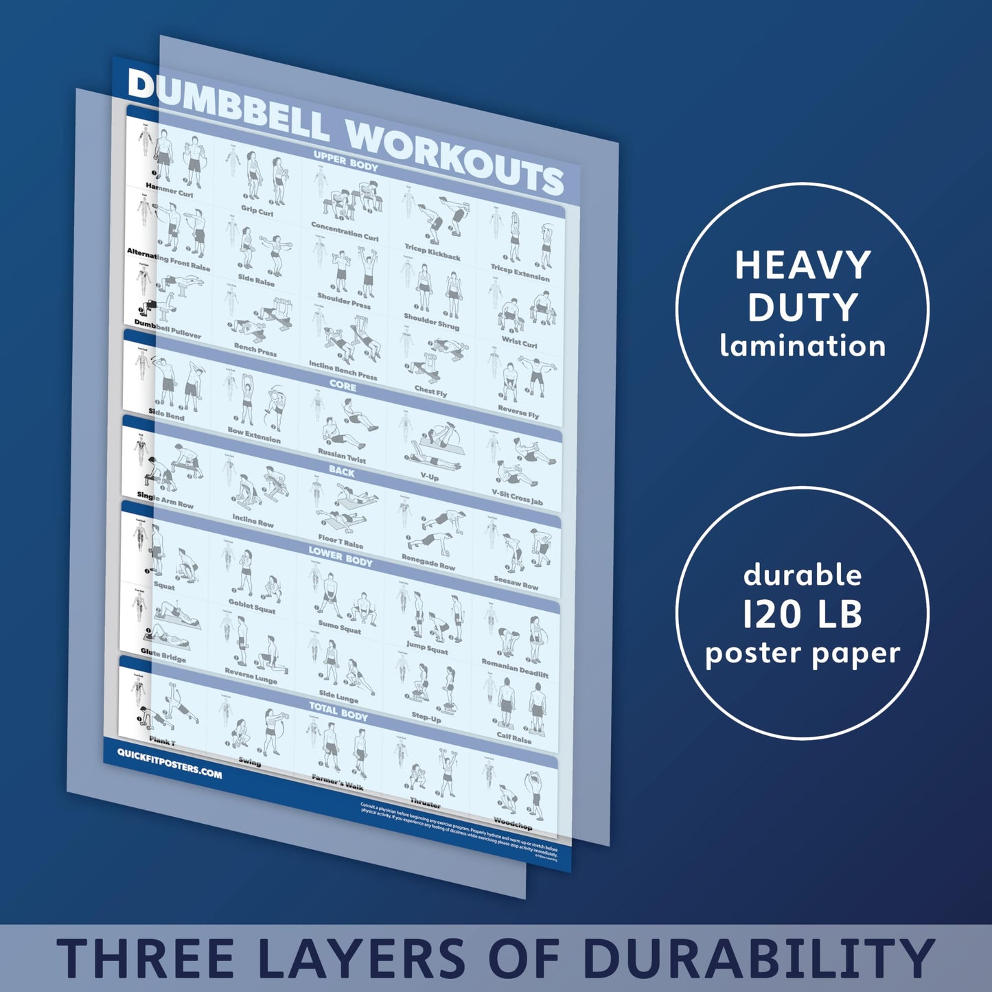 Palace Learning Dumbbell Workout Exercise Poster - Free Weight Body Building Guide | Home Gym Chart - LAMINATED, 18" x 24"""