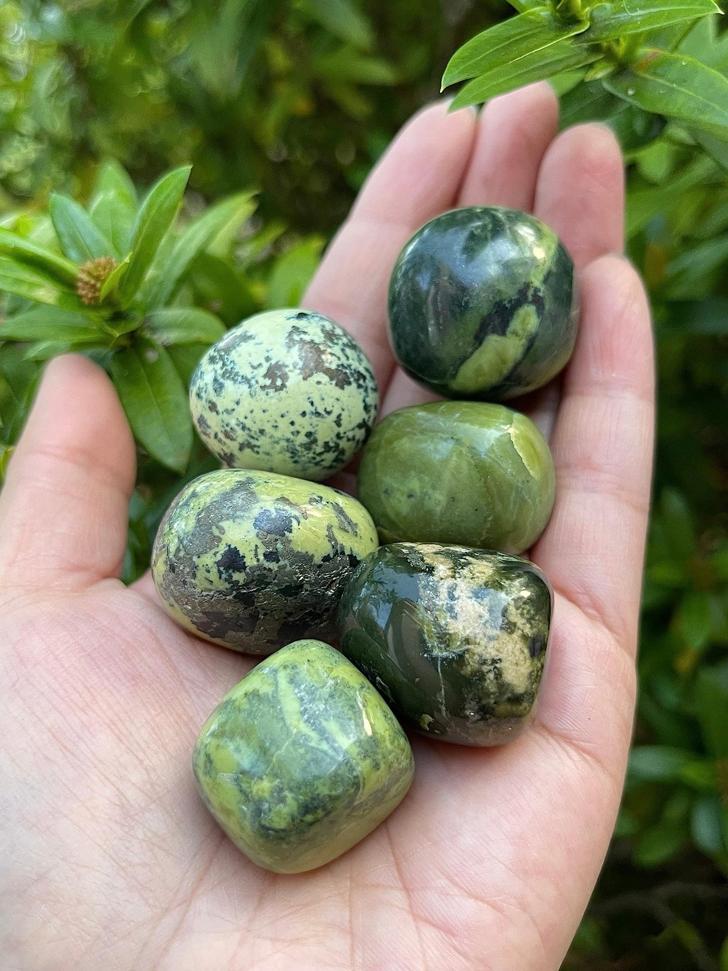 WHOLESALE Serpentine Tumbled Stones, Polished Serpentine Gemstone, Serpentine Polished Rocks (Serpentine, 0.25 Pound)