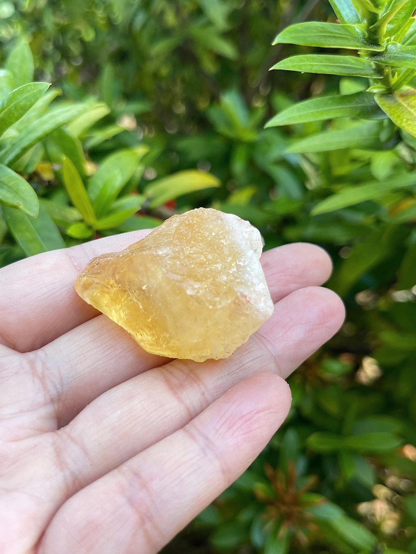 GAF TREASURES 3 Pcs Raw Citrine Crystals, Natural Citrine Stone, Natural Rough Citrine Crystals, Citrine Rough, Citrine Healing Crystals (Citrine)