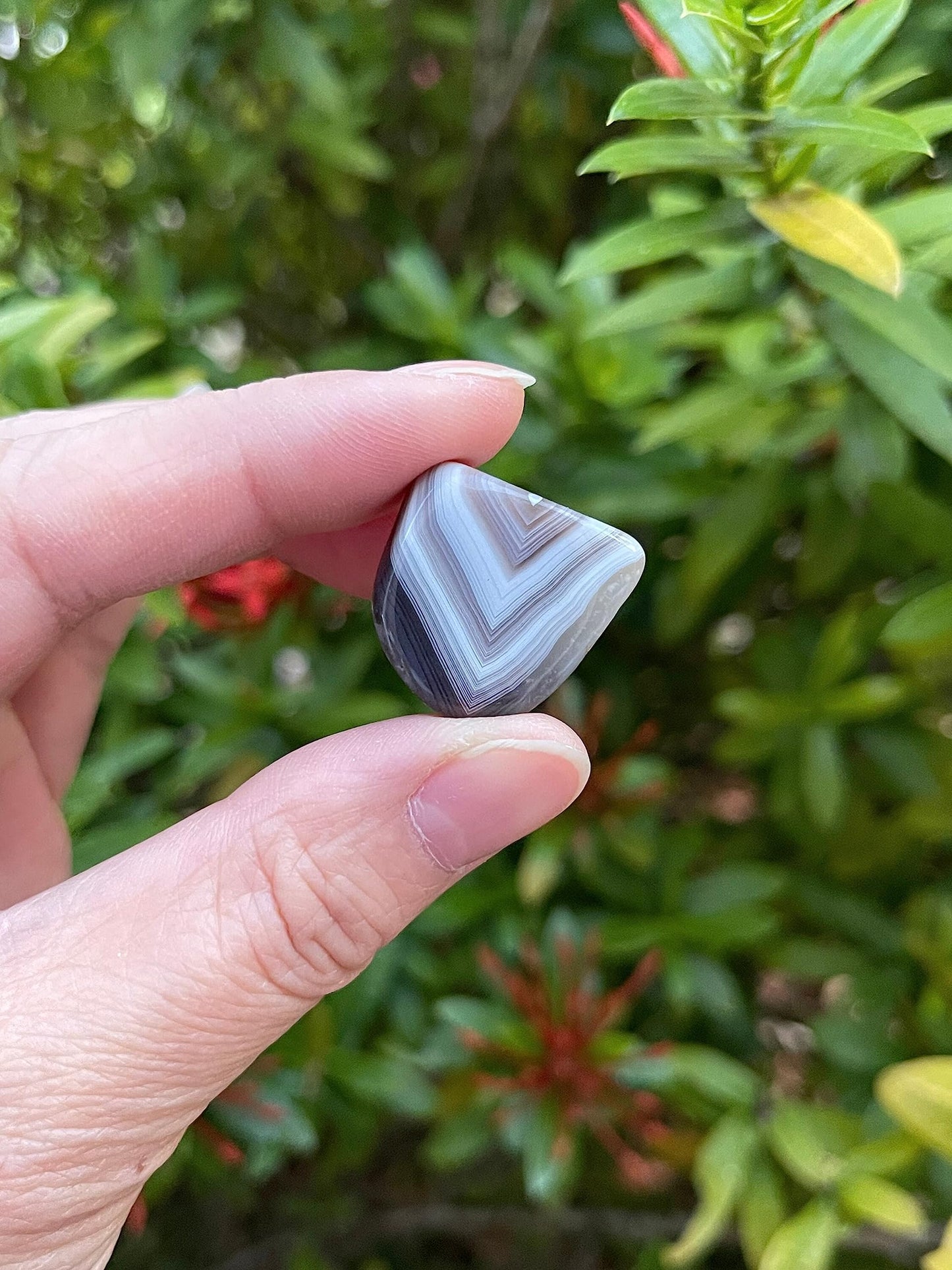 GAF TREASURES 5 Pcs Botswana Agate Tumbled Stones, Polished Natural Botswana Agate Gemstone, Botswana Agate Healing Crystals (Botswana Agate)