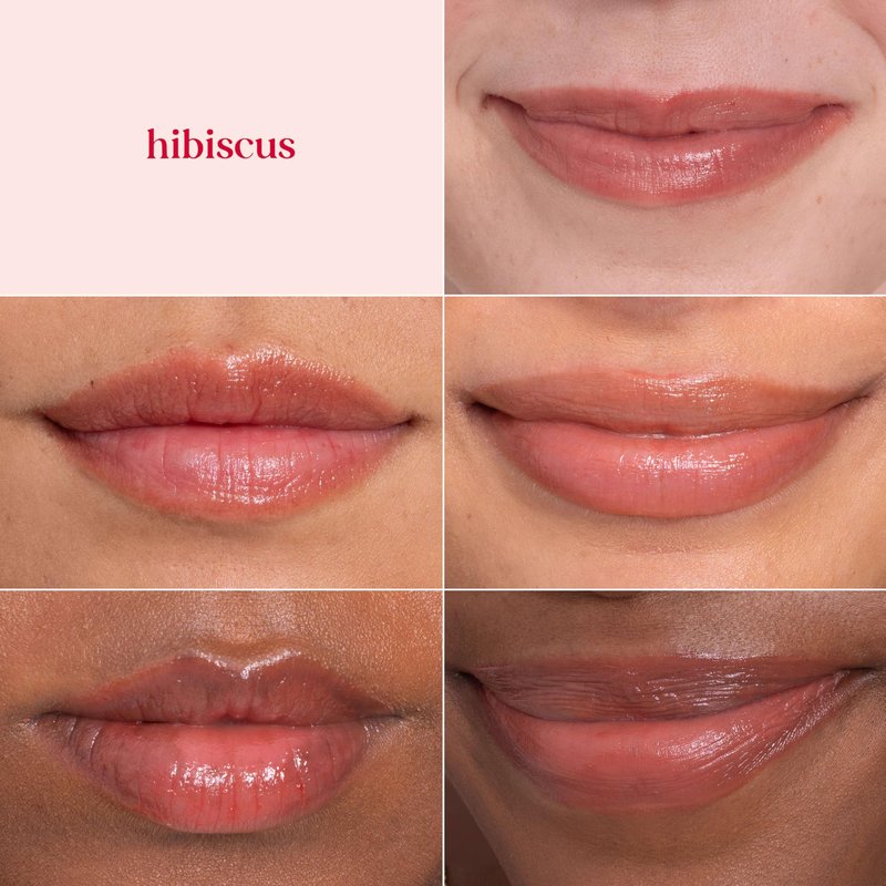 Burt's Bees Lip Tint Balm, Long Lasting 2 in 1 Duo Tinted Balm Formula, Color Infused with Hydrating Shea Butter for a Natural Looking Buildable Finish, Hibiscus, 1 Tube