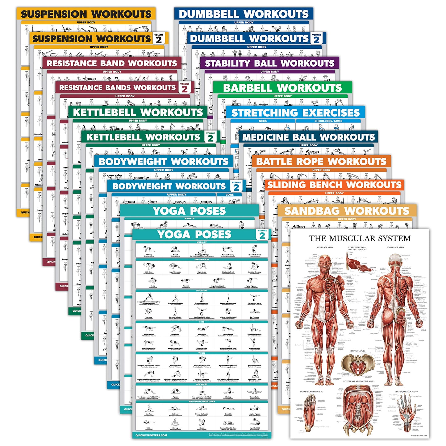 20 Pack - Exercise Poster Set, Dumbbell, Suspension, Battle Rope, Stretching, Bodyweight, Barbell, Yoga, Exercise Ball, Muscular, Kettlebell, Resistance Bands and More (LAMINATED, 18" x 24"")"