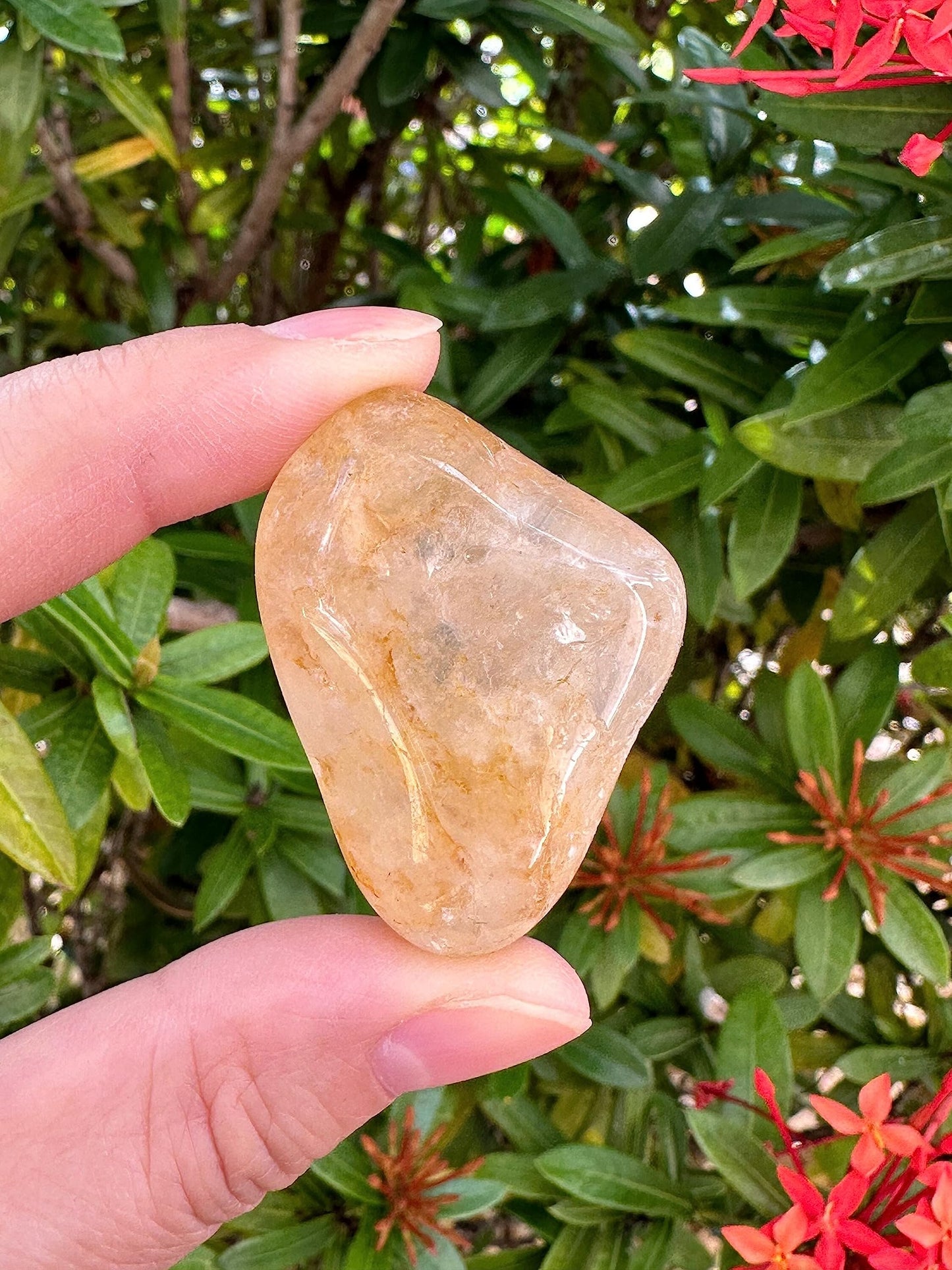 GAF TREASURES 5 Pcs Golden Healer Quartz Tumbled Stones, Polished Natural Golden Healer Quartz Gemstone, Golden Healer Quartz Healing Crystals (Golden Healer Quartz)