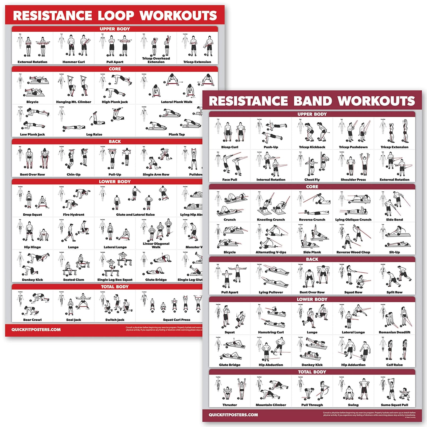 QUICKFIT 2 Pack - Resistance Bands and Resistance Loops Workout Posters - Set of 2 LAMINATED Charts - Resistance Band Tubes and Loops Exercise Charts (Laminated, 18" x 24"")"