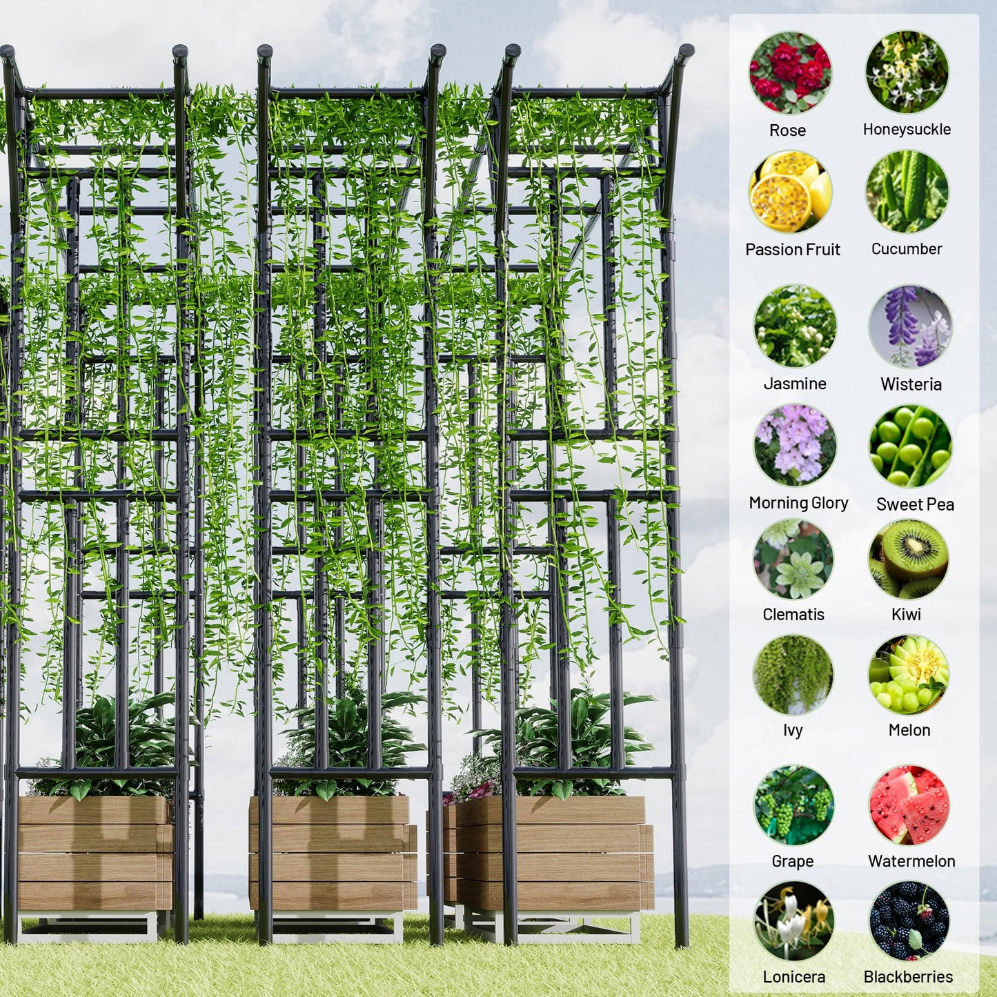 Flat Top Garden Arch Trellis 11FT x 9FT, Super Large Arbor Trellis for Climbing Plants Outdoor 141.7in x 108in x 19.7in, Metal Garden Frame for Backyard, Lawn, Archway, Wedding Decoration, Patio Black