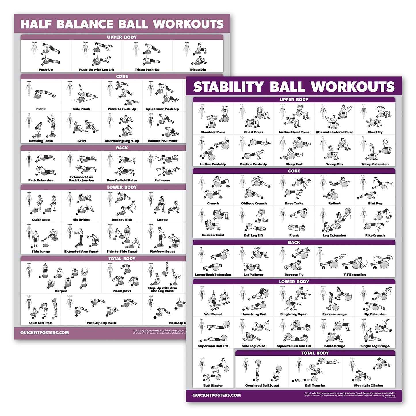 Palace Learning 2 Pack, Half Balance Ball Workout Poster + Yoga Ball Exercise Chart - Set of 2 Workout Posters (LAMINATED, 18" x 24"")"