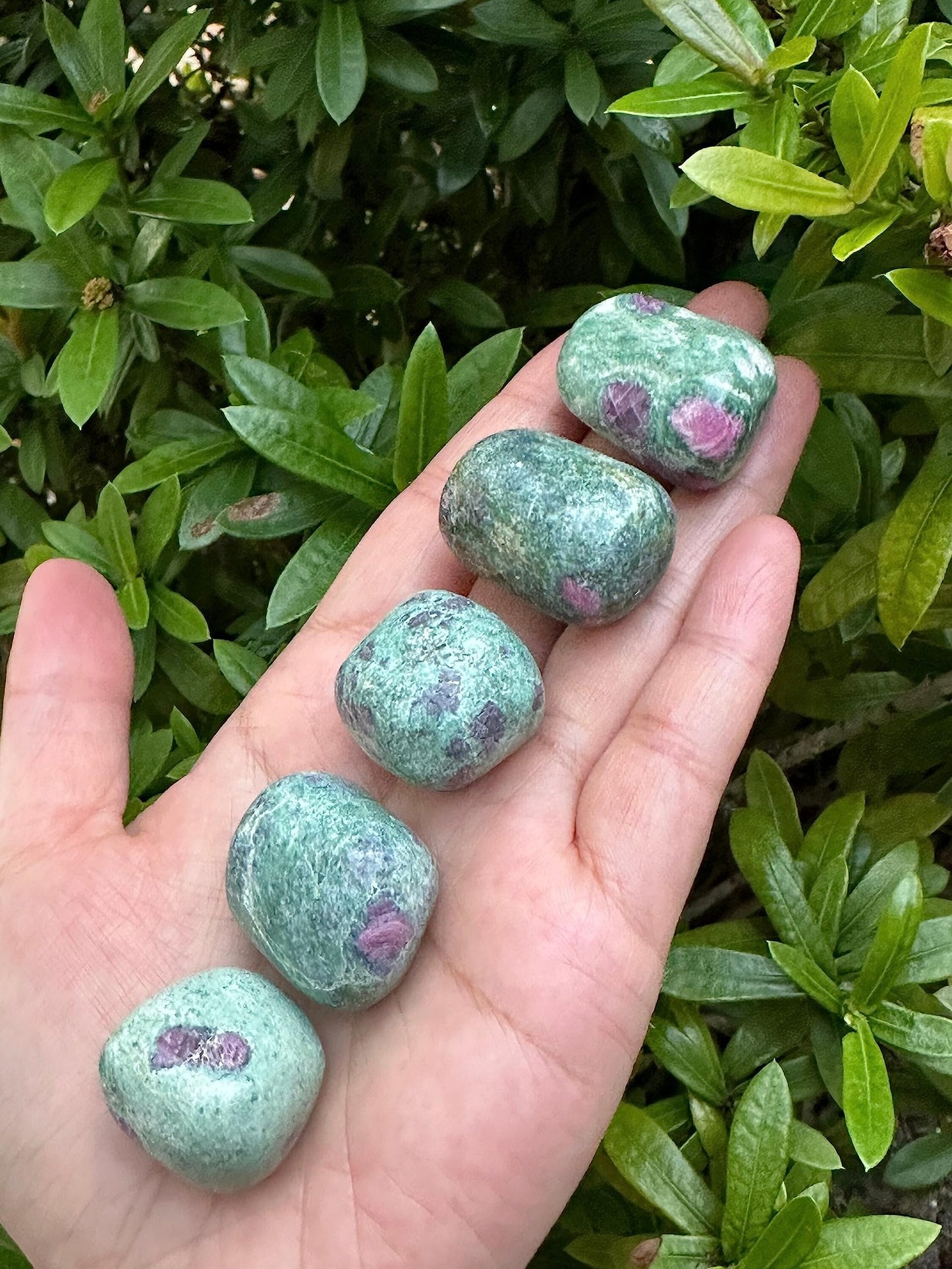 GAF TREASURES Wholesale Ruby Fuchsite Tumbled Stones, Polished Natural Ruby Fuchsite Gemstone, Ruby Fuchsite Polished Rocks (Ruby Fuchsite, 0.25 Pound)