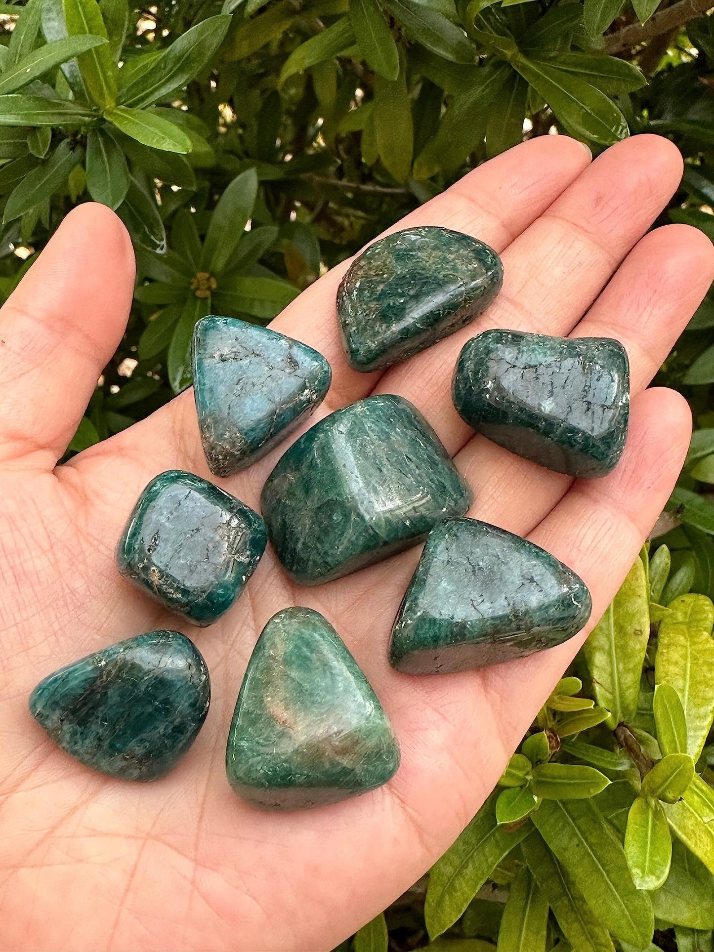 WHOLESALE Apatite Tumbled Stones, Polished Apatite Gemstone, Apatite Polished Rocks (Apatite, 0.25 Pound)