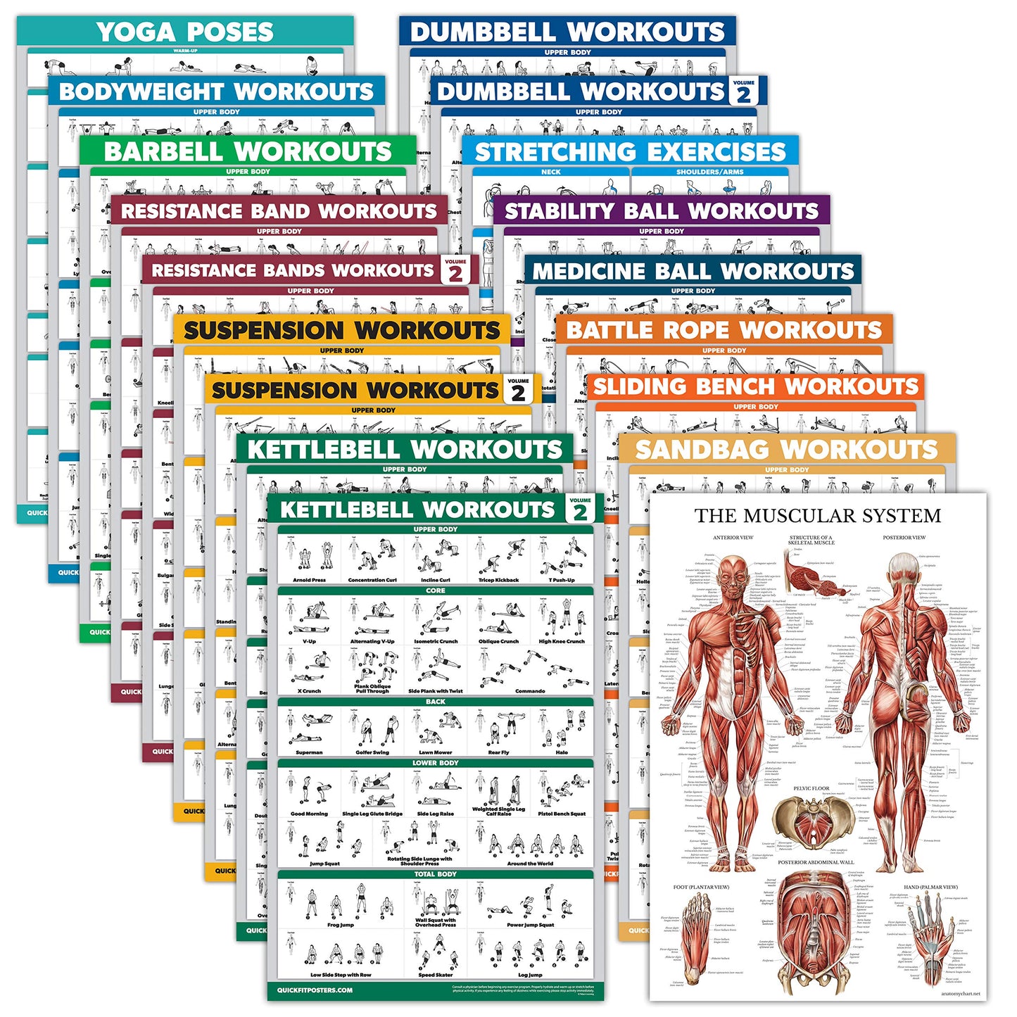 18 Pack - Exercise Poster Set, Dumbbell, Suspension, Kettlebell, Resistance Bands, Stretching, Bodyweight, Barbell, Battle Rope, Yoga, Exercise Ball, Muscular and More (LAMINATED, 18" x 24"")"