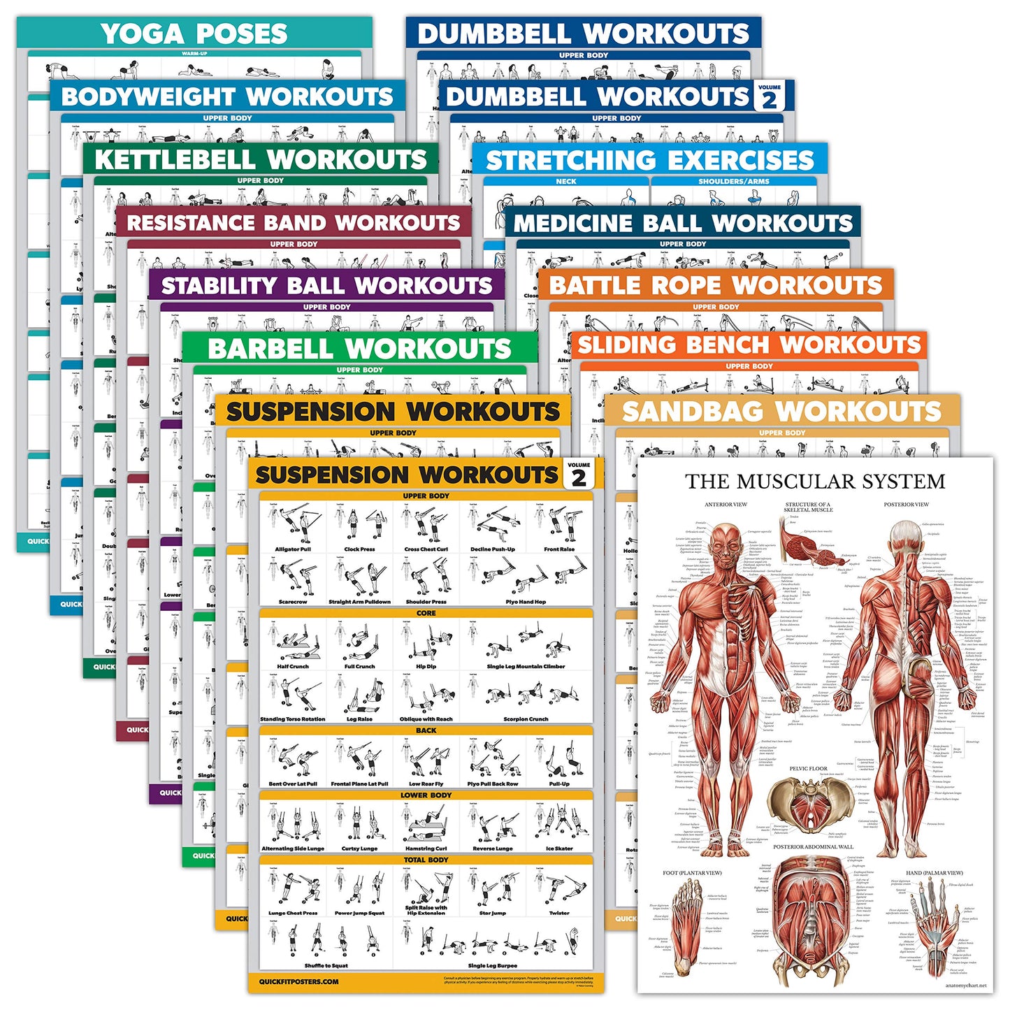16 Pack - Exercise Poster Set, Dumbbell, Suspension, Kettlebell, Resistance Bands, Medicine Ball, Battle Rope, Stretching, Bodyweight, Barbell, Yoga, Exercise Ball, Muscular (LAMINATED, 18" x 24"")"