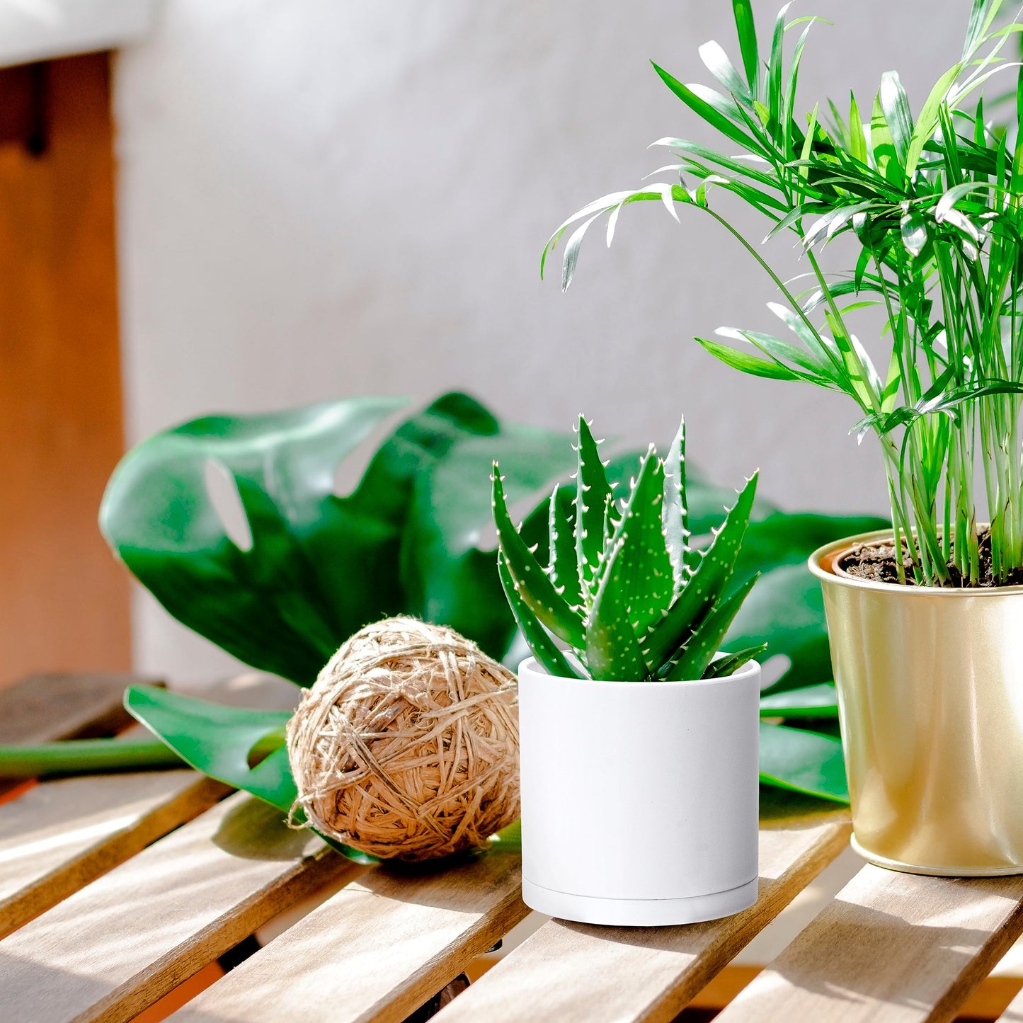 D'vine Dev 2 Pack 4.5 Inch Modern Plastic Plant Pots, Small Garden Planters for Plant with Drainage Holes and Saucers, White Color, 74-Z-F-1