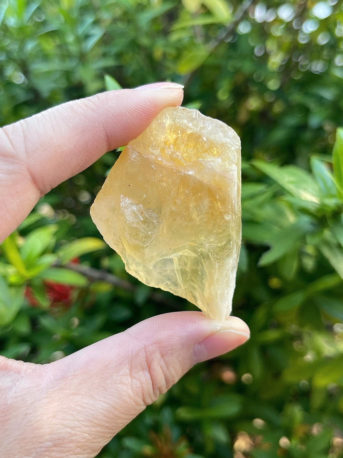 GAF TREASURES 3 Pcs Raw Citrine Crystals, Natural Citrine Stone, Natural Rough Citrine Crystals, Citrine Rough, Citrine Healing Crystals (Citrine)