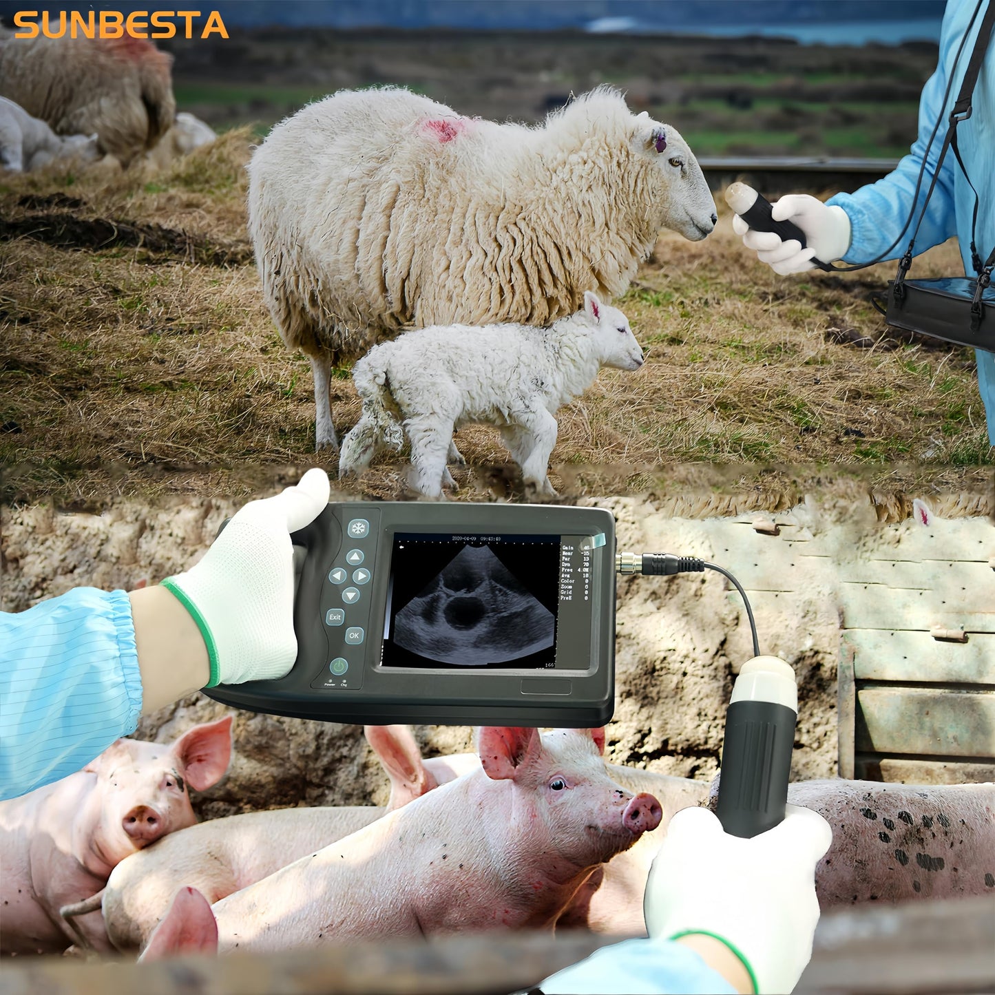 SUNBESTA Portable Veterinary Ultrasound Pregnancy Scanner with 5.7” HD Display, Waterproof 3.5MHz Probe with Heating, Lightweight Handheld Machine with Carrying Case for Dogs, Pigs, Sheep & Farm Use