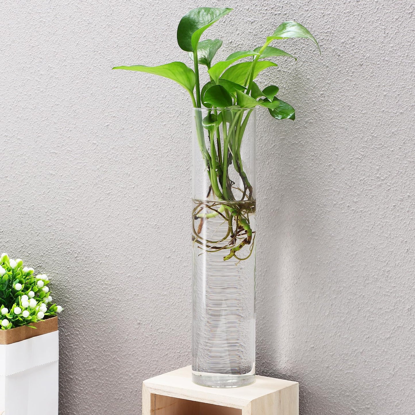 PRETYZOOM Wall Vase for Flowers Hanging Indoor Plants Holder Glass Cylinder Hydroponic Planter Large Tube 2pcs Wall-Mounted Terrarium for Home Décor