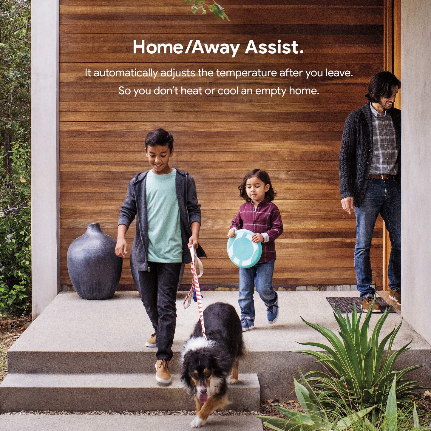 Nest T3016US - Programmable Thermostat
