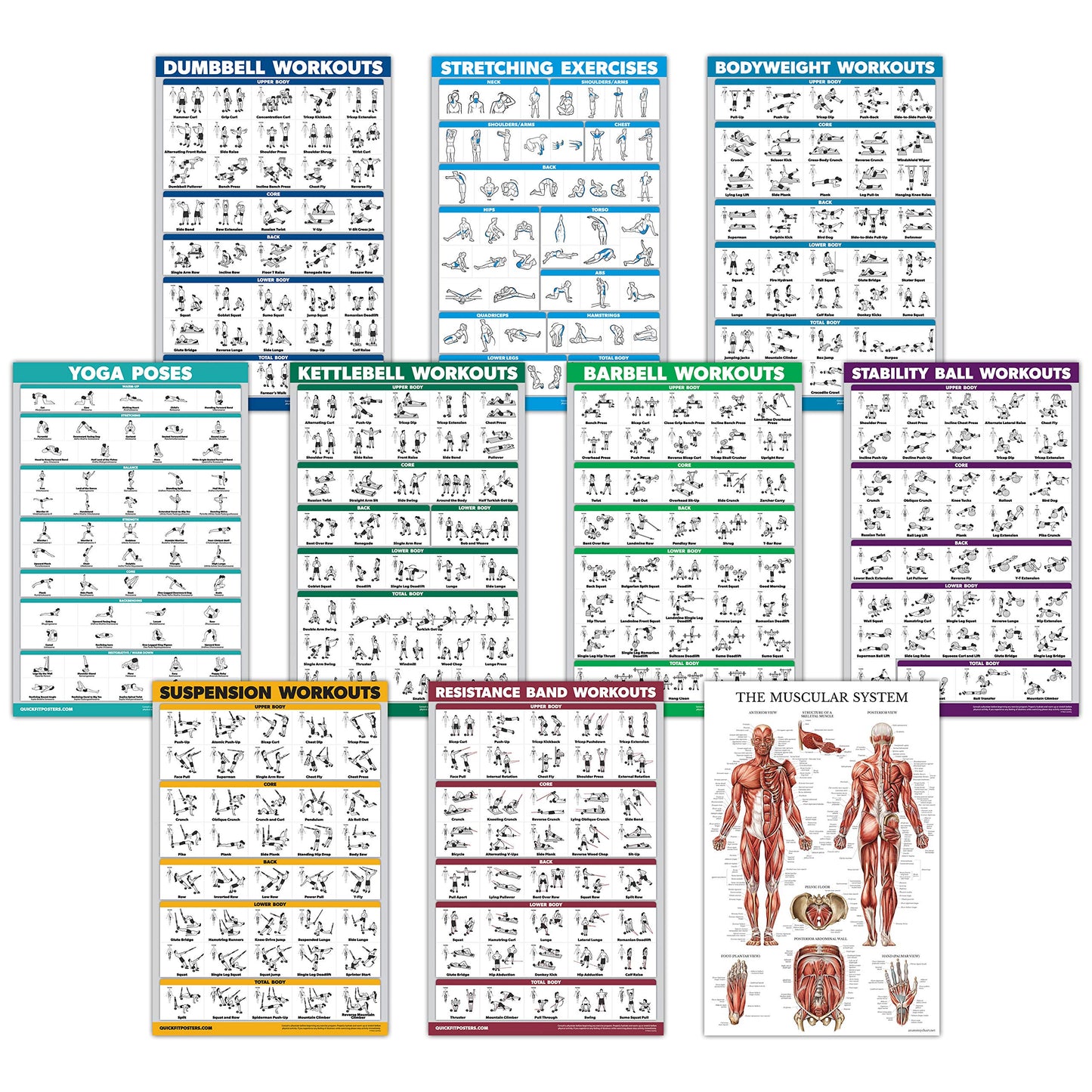 10 Pack - Exercise Workout Poster Set - Dumbbell, Suspension, Kettlebell, Resistance Bands, Stretching, Bodyweight, Barbell, Yoga Poses, Exercise Ball, Muscular System Chart (LAMINATED,18" x 24"")"
